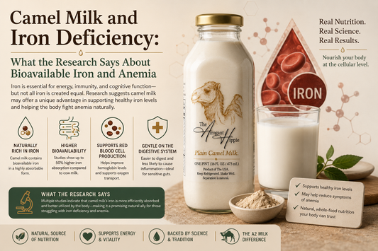 Camel Milk and Iron Deficiency: What the Research Says About Bioavailable Iron and Anemia