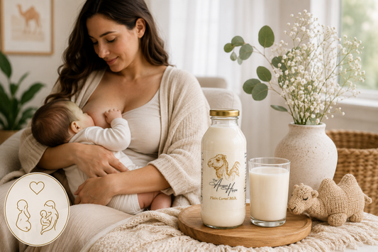 Camel Milk During Pregnancy and Postpartum: What Expecting and Nursing Mothers Should Know