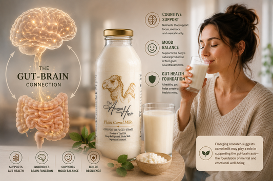 The Gut-Brain Connection: Camel Milk and the Emerging Research on Mood and Cognitive Function