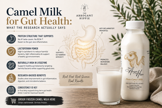 Camel Milk for Gut Health: What the Research Actually Says