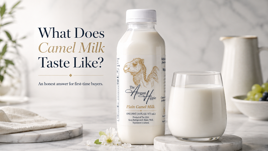 What Does Camel Milk Taste Like? An Honest Answer for First-Time Buyers